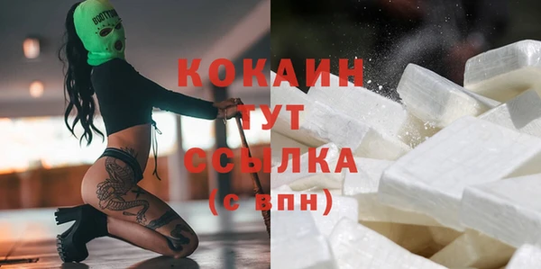 сатива Богородицк