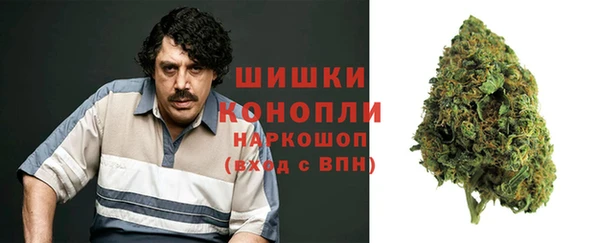 сатива Богородицк