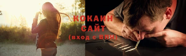 сатива Богородицк