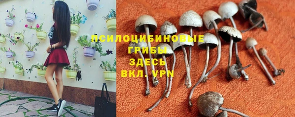 сатива Богородицк