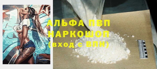 сатива Богородицк