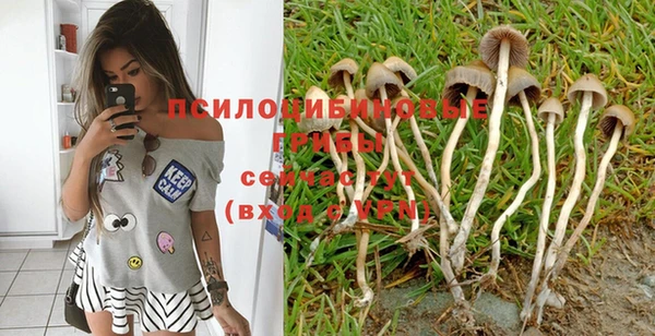 кокаин колумбия Богданович